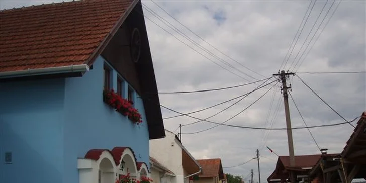 Vinařský pobyt v Bořeticích: degustace, hostina a neomezená konzumace vína