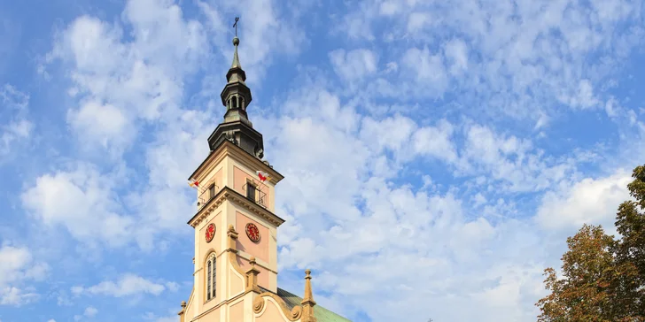 Osvětim, Březinka, solné doly Wieliczka a Krakow s průvodcem a ubytováním