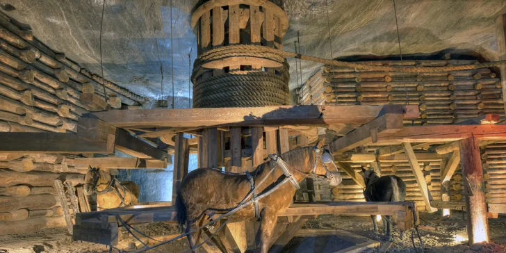 Osvětim, Březinka, solné doly Wieliczka a Krakow s průvodcem a ubytováním