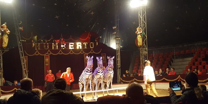 Hurá do Cirkusu Humberto v Praze akrobati, klauni i exotická zvířata
