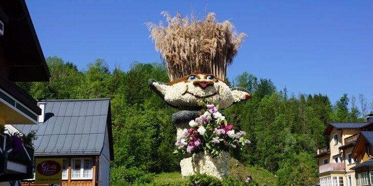 59. ročník největšího květinového svátku v Rakousku – Festival narcisů + Hallstatt
