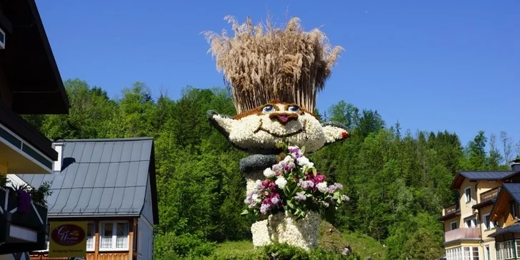 Největší květinový svátek v Rakousku- Festival narcisů a zastávka v Hallstattu