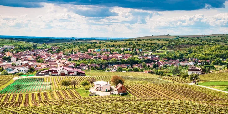 Tři dny na jižní Moravě se snídaněmi, večeří a návštěvou vinného sklípku