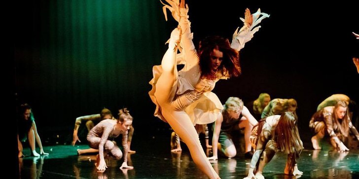 Vstupenka na taneční představení – Galavečer souborů Pop Balet 2019