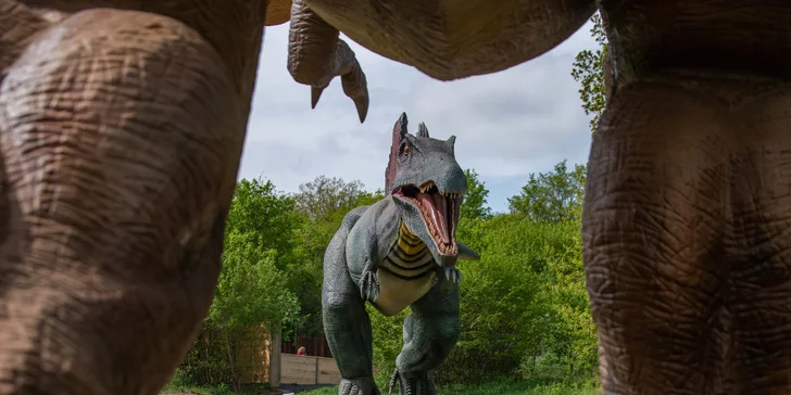 Po zdolání dinosauří a naučné stezky zve dětské návštěvníky k návštěvě také dětské hřiště, kde se vaše děti mohou opět ponořit do světa dinosaurů a dobrodružství! 