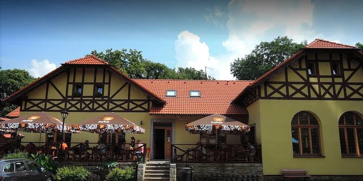 Tatarák z pravé svíčkové s křupavými topinkami