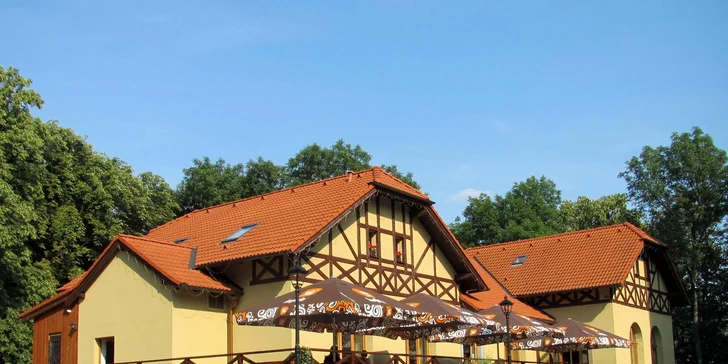 Tatarák z pravé svíčkové s křupavými topinkami