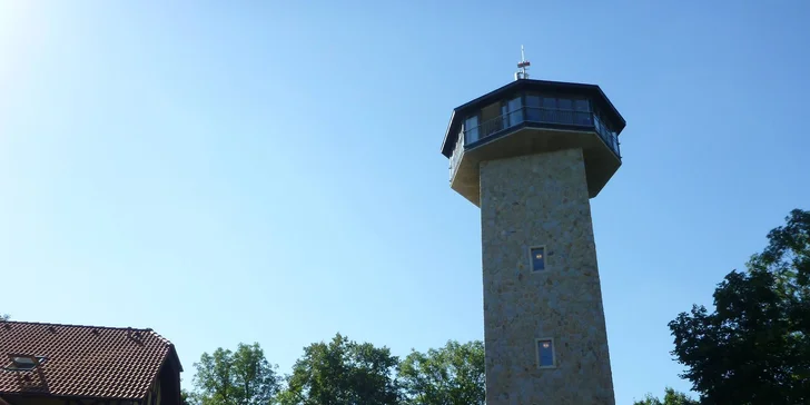 Tatarák z pravé svíčkové s křupavými topinkami