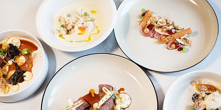 Labužnický zážitek v údolí Botiče: 5chodové degustační menu s vínem nebo bez