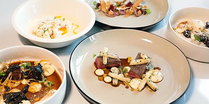 Labužnický zážitek v údolí Botiče: 5chodové degustační menu s vínem nebo bez