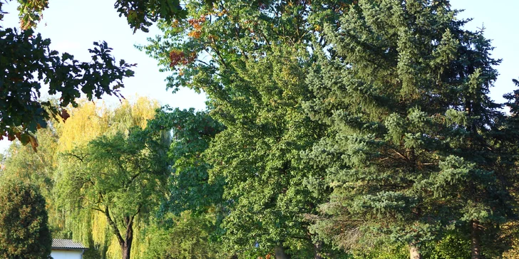 Objevte svět golfu: tréninky pro nováčky s teorií, nácvikem hry i občerstvením