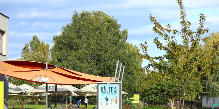 Objevte svět golfu: tréninky pro nováčky s teorií, nácvikem hry i občerstvením