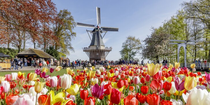 Výlet do Holandska za tulipány v květinovém parku Keukenhof, sýry i památkami