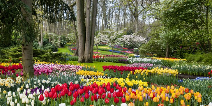 Velikonoční výlet do květinového parku Keukenhof i do Amsterdamu za památkami