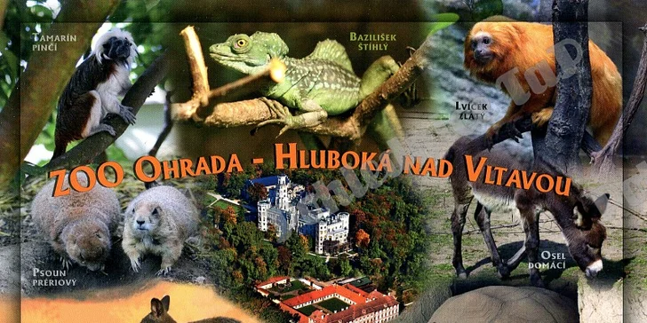 Romantika v podzámčí: 3 dny v Hluboké nad Vltavou se snídaní pro dva