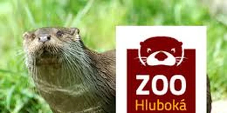 Romantika v podzámčí: 3 dny v Hluboké nad Vltavou se snídaní pro dva
