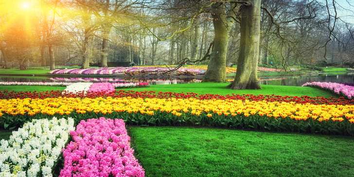 Výlet do Holandska za tulipány v květinovém parku Keukenhof, sýry i památkami