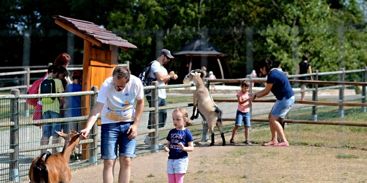 Celodenní vstup do Fajnparku: zábavního areálu s atrakcemi pro celou rodinu