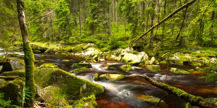 Ubytování v srdci Šumavy vč. polopenze pro milovníky turistiky i běžkování
