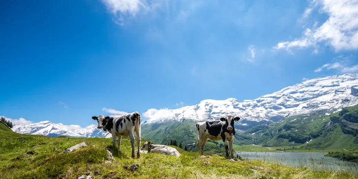 Švýcarské dobrodružství: Visutý most na Titlisu, Engelberg a historický Luzern