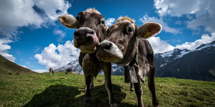 Švýcarské dobrodružství: Visutý most na Titlisu, Engelberg a historický Luzern