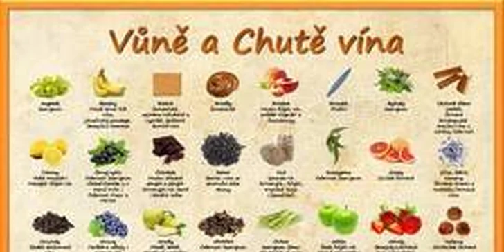 Domácí sommelier: odborný vinařský kurz spojený s degustací výběrových vín