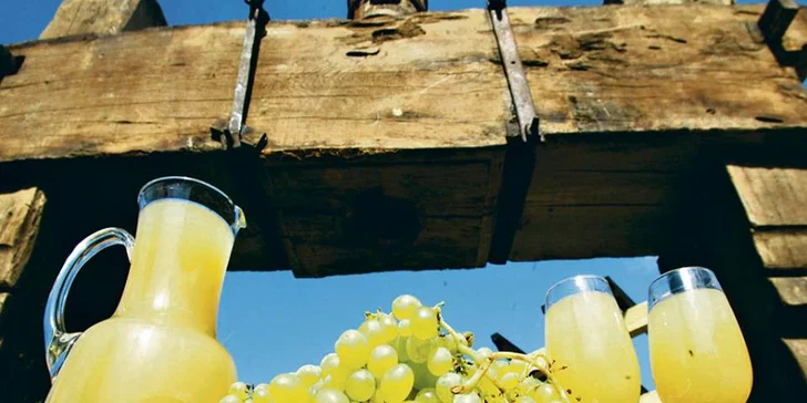 Domácí sommelier: odborný vinařský kurz spojený s degustací výběrových vín
