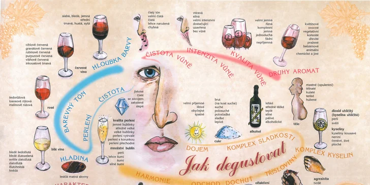 Domácí sommelier: odborný vinařský kurz spojený s degustací výběrových vín