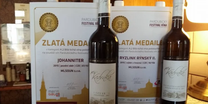 Domácí sommelier: odborný vinařský kurz spojený s degustací výběrových vín