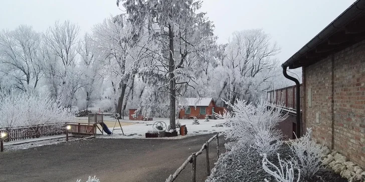 Pobyt na farmě pro rodinu a účast na aktivitách