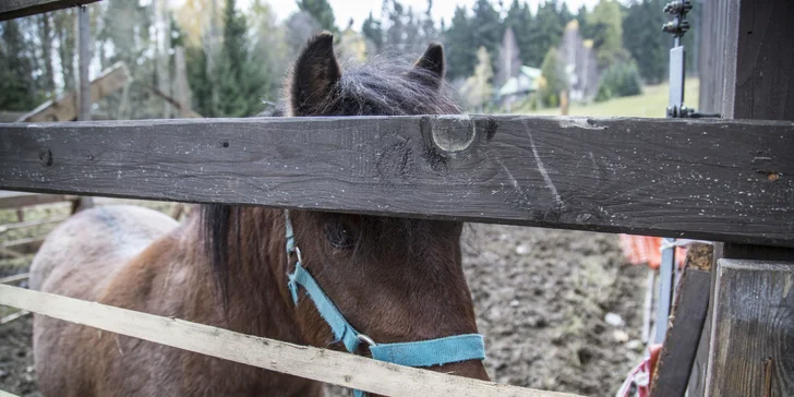 Jarní a letní dovolená v krkonošské horské chatě s polopenzí a saunou