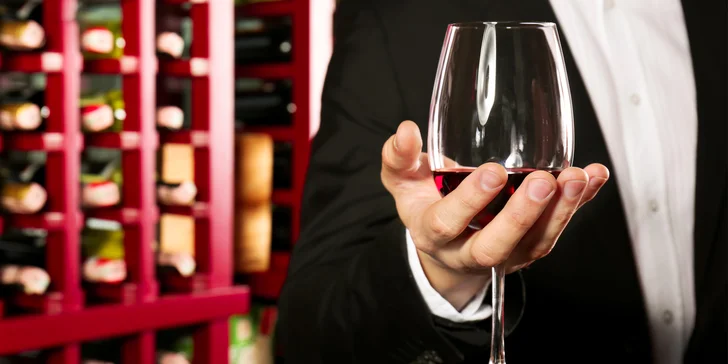 Domácí sommelier: odborný vinařský kurz spojený s degustací výběrových vín
