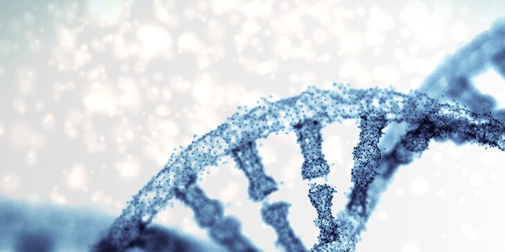 Poznejte svůj původ: Genealogický DNA test rodových linií