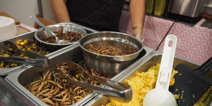 Kouzlo hmyzí gastronomie: naučte se připravit 5chodové hmyzí menu