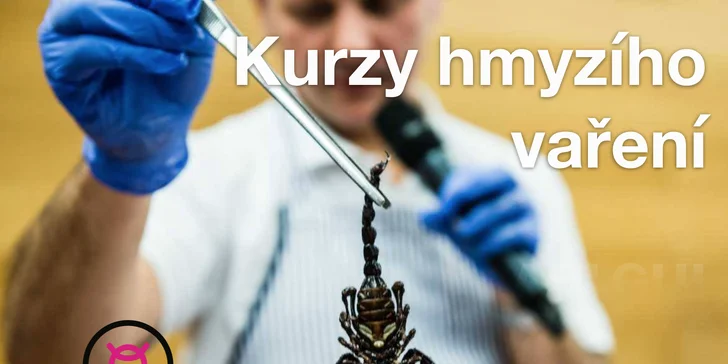 Kouzlo hmyzí gastronomie: naučte se připravit 5chodové hmyzí menu