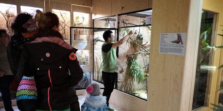 Celodenní vstupné do zooparku Zájezd a krmení zvířátek z nové expozice Terárium