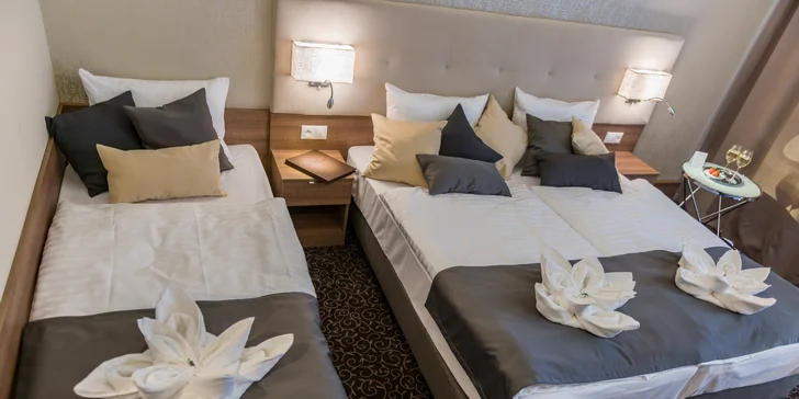 Dvojposteľová izba Premium
(23 m²) je komfortná izba s manželskou posteľou a s možnosťou prístelky. Izba Premium je vybavená krásnou rozmernou terasou (do 9,5 m²) s jedinečným výhľadom na celý areál Thermalparku.