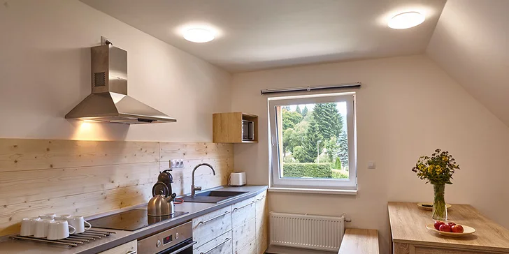 V apartmánu nechybí plně vybavená kuchyně.