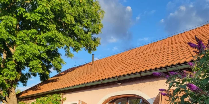 Naučíte se rozpoznávat typy celulitidy a pochopit jejich příčiny.