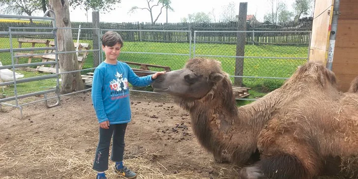 Zvířátka můžete krmit místními granulemi.