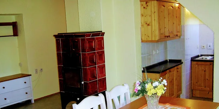 Ke každému apartmánu patří vybavená kuchyňka.