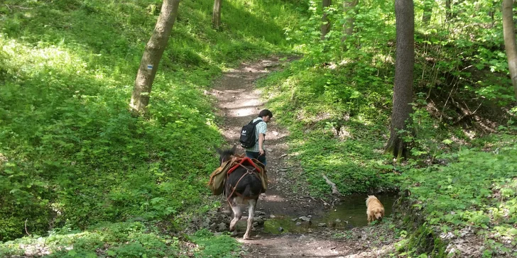 Výlet za sedmero hor a sedmero potoků :-)