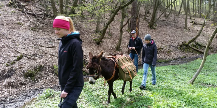 V případě špatného počasí (silný déšť, extrémní vedro atd.) se výlet nekoná a domluvíte se na náhradním termínu. 