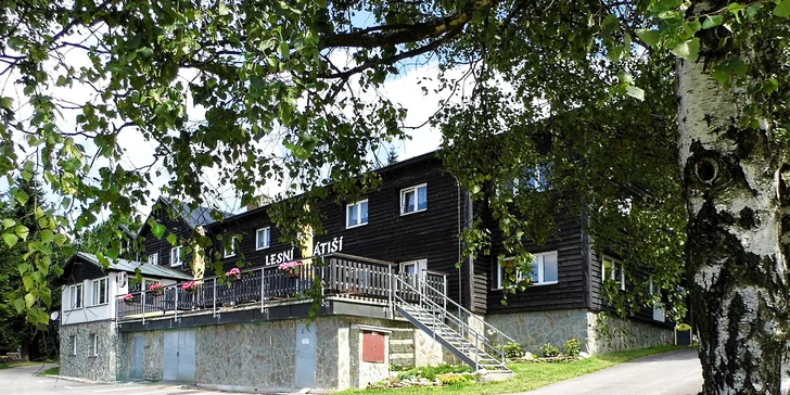 Aktivní pobyt v Krkonoších: hotel nad Beneckem přímo na sjezdovce s polopenzí