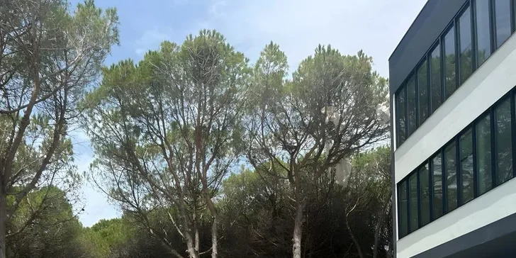 Lehátka a slunečníky máte na pláži i u bazénu zdarma.