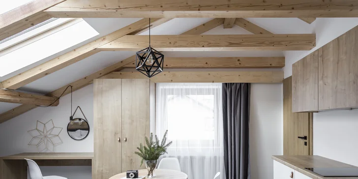 Apartmán zahrnuje nejen kuchyňku s jídelním stolem, ...