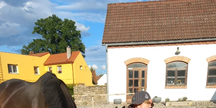 Na spřátelení mohou děti poníkovi přinést i svačinu (mrkev nebo jablko).