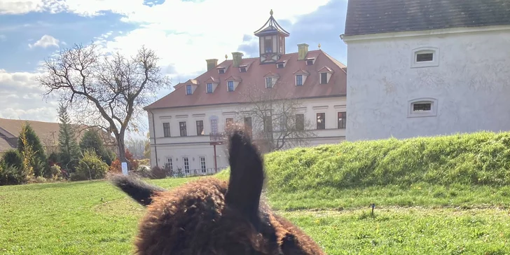 Termín si rezervujte telefonicky či na e-mailu.