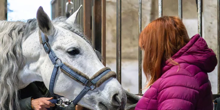 Vyzkoušíte si vše: od přípravy koně až po samotné sedlání a vyjížďku. 