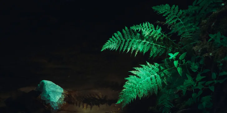 Naučíte se, jak fotoaparát správně nastavit do manuálního režimu (ISO, čas, clona). 